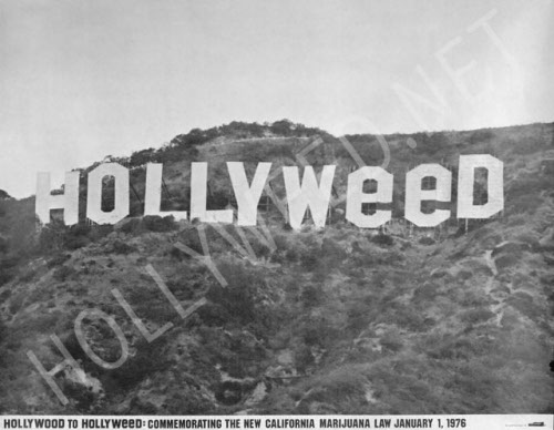 hollyweedsign.jpg