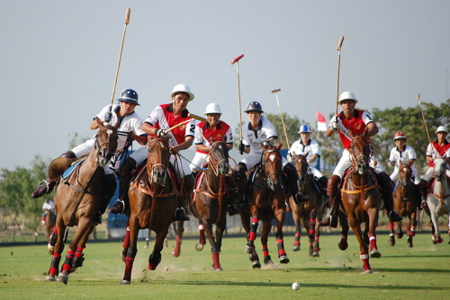 polo-partido.jpg